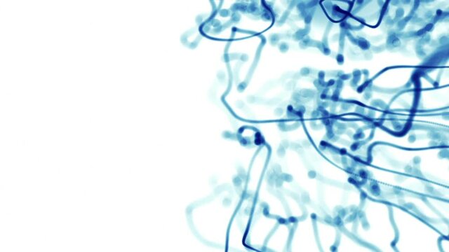 Abstract oragic curved lines on white background. 4k seamless loop