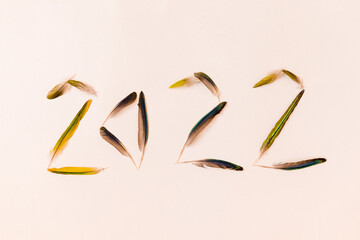 Numeral 2022 is made of green bird feathers on a white background. High quality photo
