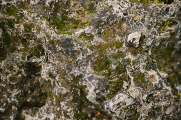 The texture of a stone overgrown with moss. A rock in the forest or in the park.