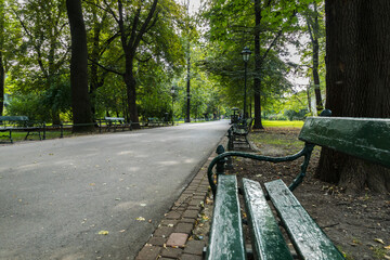 Green wooden bench in the park.