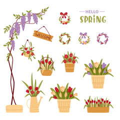 Set of floral spring elements. Flowers in pots, wisteria, hello spring lettering, easter wreathes. Spring flowers