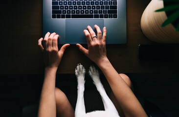 Caucasian woman using laptop computer at the night at home, browse internet or communicate with...