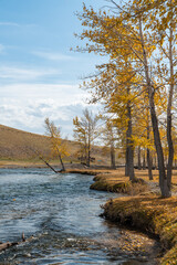 Mountain river on a background of autumn forest