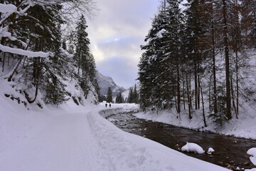 Tatry, zima, śnieg, mróz, góry, Zakopane, ferie, 