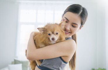 Portrait of young attractive asian woman playing with cute lovely dog. Pretty cheerful girl in...