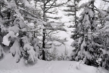Tatry, zima, śnieg, mr&oacute;z, g&oacute;ry, Zakopane, ferie, 