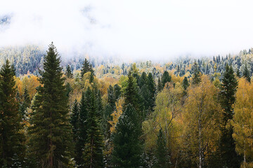 Autumn forest frost snow Altai landscape beautiful nature