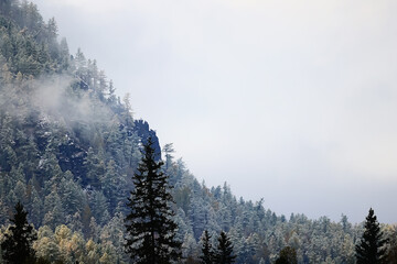 autumn fog landscape forest mountains, trees view mist