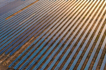 Drone close-up shot of solar panels field, photovoltaic power station illuminated by sunbeams at sunset.