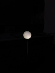 White light bulb illuminates the garden