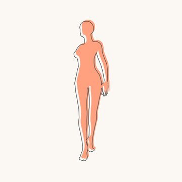 Front view human body silhouette of an adult female