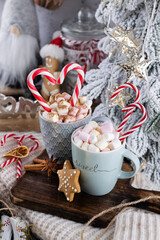Gingerbread with mug of hot chocolate and candy cane.