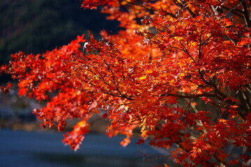 It feels like it's autumn already