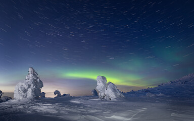 landscape with northern lights and snow-covered tree. 