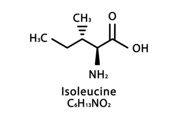 Isoleucine molecular structure. Isoleucine skeletal chemical formula. Chemical molecular formula vector illustration