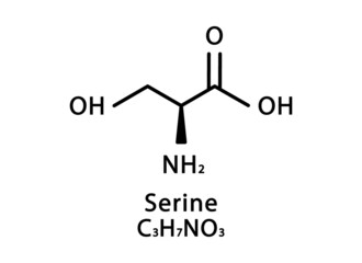 Serine molecular structure. Serine skeletal chemical formula. Chemical molecular formula vector illustration