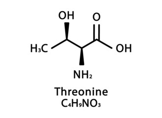 Threonine molecular structure. Threonine skeletal chemical formula. Chemical molecular formula vector illustration