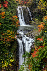 Fototapeta premium 鵜の子滝