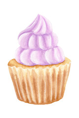 Watercolor cupcake isolated on white background. Cupcake with fruit cream. Design for menus, stickers, cookbooks.