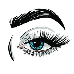 Sketch of an eye with long eyelashes on a white background. Vector illustration.