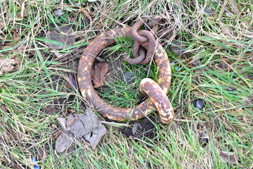 Close Up of Old Rusty Iron Mooring Ring beside Industrial Canal