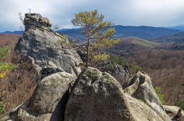 Summer landscape, Dovbush rocks in the Carpathians in Ukraine. Trip to the mountains.