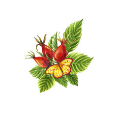 Bouquet rosehip with butterfly  and leaves colored hand-painting in watercolor on a white background. It's perfect and universal for the design of postcards, printing, textile, background.