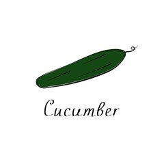 Cucumber illustration isolated on white background. Vector flat sign