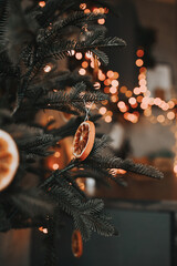 christmas decoration. Dried orange on the tree.