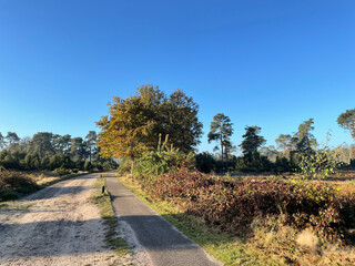 Bicycle path next to a sand path at the Lemelerberg