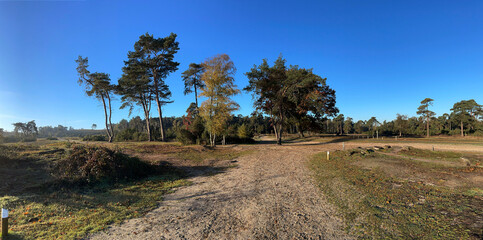 Panorama from a sand path at the Lemelerberg