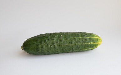 Close-up One Long Fresh Green Cucumber isolated on white background Copy space Vegetable for Salad. Healthy Vegetarian Food