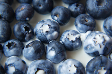  wiped cream on fresh blue berry 