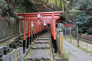 The access to Benzaiten Subordinate Shrine and red toriis in the precincts of Tanukidani-fudoumyou-in Shrine in Kyoto City in Japan 日本の京都市にある狸谷不動明王院の境内にある摂社弁財天の参道と赤い鳥居群