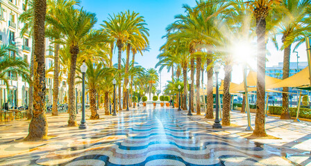 Alley of palm trees in sunny Alicante, Spain - obrazy, fototapety, plakaty