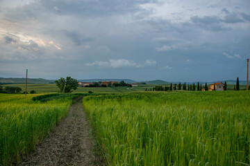 Tuscany, italy, may 2018, a path in a green field leads to a farm in the distance