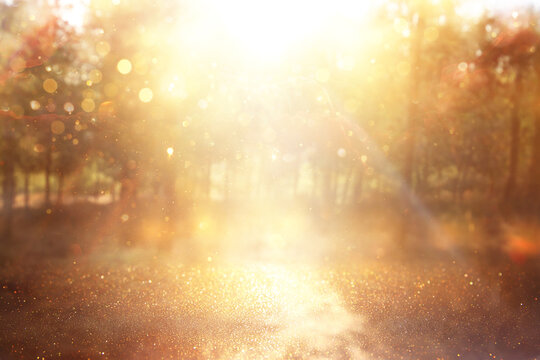 blurred abstract photo of light burst among trees and glitter golden bokeh lights © tomertu