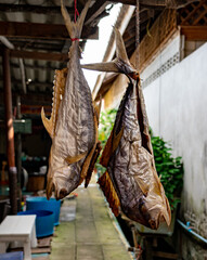 Fish hanging out to dry 