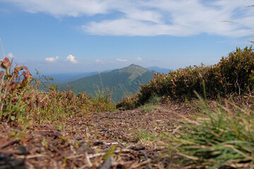 Landscape of Bieszczady national park, view from hill