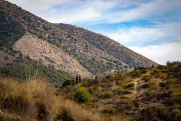 landscape with mountains
