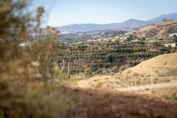 landscape in the mountains