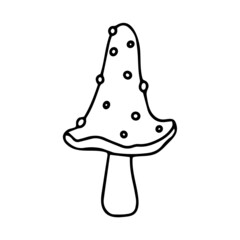 Little Mushroom simple cute vector doodle autumn illustration in cartoon style, one line, black color isolated on white background, single hand drawn element for design. Fly agaric
