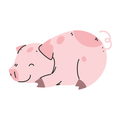 pet cute pig