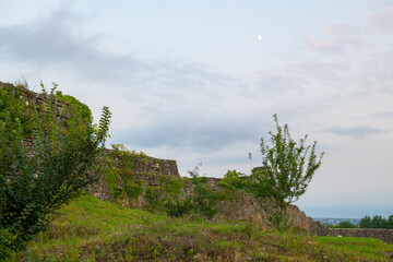 Fototapeta na wymiar beautiful view of a stone wall destroyed in greenery