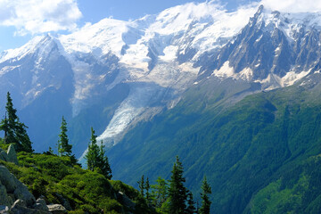 Obraz premium high mountains, rocky cliffs with fir trees, in the background you can see the French Alps with the snow-capped Mont Blanc, the concept of hiking, rock climbing, active lifestyle, beauty of nature