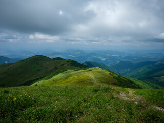 misty green mountain cores in summer covered with grass