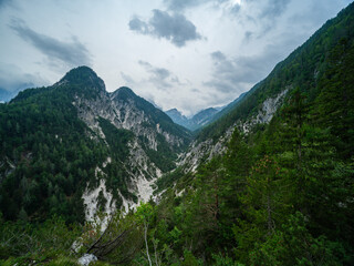 Fototapeta na wymiar Misty alpine mountain view panorama in Slovenia
