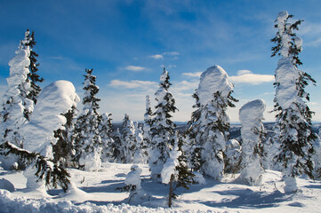Dalton Highway is a 414-mile road in Alaska beginning north of Fairbanks and ends at Deadhorse near Arctic Ocean. Subject of the first episode of the BBC's  World's Most Dangerous roads.