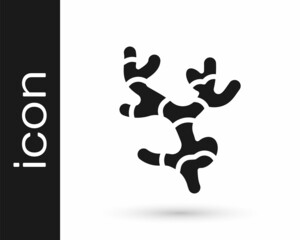 Black Ginger root icon isolated on white background. Vector