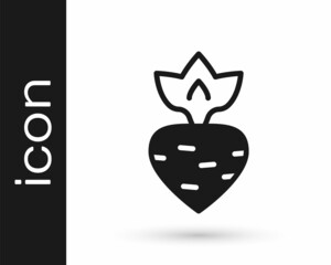 Black Turnip icon isolated on white background. Vector